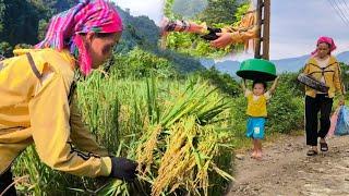 Mother works as a hired harvester to earn extra money and buy some household items with her daughter