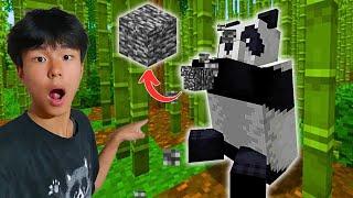 Minecraft-ийн эргэлзмээр цуурхалуудыг шалгав