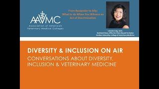 Diversity and Inclusion on Air: From Bystander to Ally