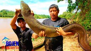 STRIKE GIANT FRESHWATER EEL EARLIER IN THE YEAR  - Best Fishing #BOJEN