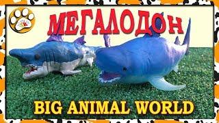 МЕГАЛОДОН из пластилина из коллекции Чудовища морских глубин Big Animal World