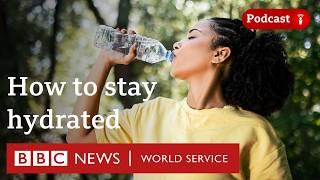 How much water should I drink a day? - The Food Chain podcast, BBC World Service