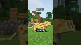 Things I Wish I Knew Before I Started Playing Minecraft! #minecraft #catcraft #minecraftserver