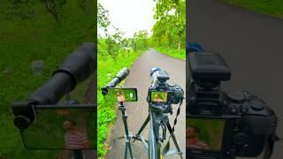 Nikon 70-300 mm lens vs 60X telephoto lens #short #shorts #ytshorts  #photography #camera #india