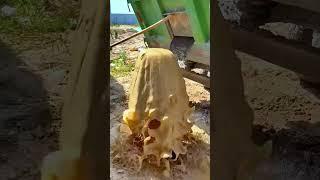 Well Drilling in Action  | Pouring Gravel to Secure the Well Casing Like a Pro! #shorts