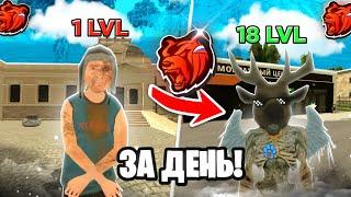 18 УРОВЕНЬ ЗА 1 ДЕНЬ! ЭТО ЛЕГКО - КАК ПОДНЯТЬ УРОВЕНЬ на БЛЕК РАШЕ!