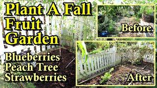 Plant a Fruit Garden in the Fall (September & October): Peach Tree, Blueberry Bush & Strawberries