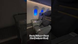 Scoot Airlines - Scoot Plus (Business Class) #flight #scoot #singapore #businessclass #aviation