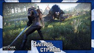 Запись стрима по The Witcher 3 Wild Hunt