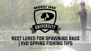 Best Lures for Spawning Bass | KVD Spring Fishing Tips