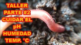 LOMBRICOMPOSTA, CÓMO MEDIR EL PH, TEMPERATURA Y HUMEDAD "TALLER"(PARTE#2)