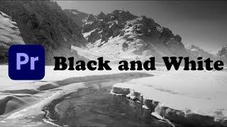 Black and White Effect using Adobe Premiere Pro