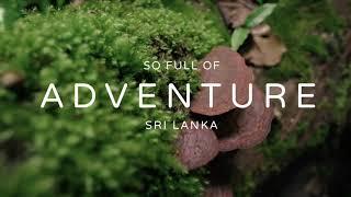 Mountain Trails | So Sri Lanka