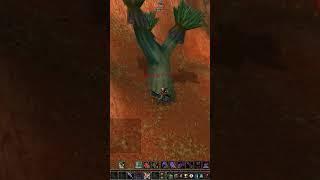 How To Solo Broken Alliances Ogre #worldofwarcraft #classichc #safe