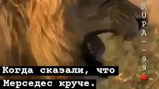 Варвара тв