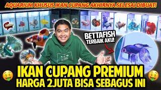 IKAN CUPANG PREMIUM HARGA 2JUTA LEBIH BISA SEBAGUS INI! AQUARIUM KHUSUS BETTAFISH AKHIRNYA SELESAI!