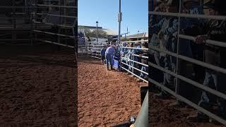 #attaventures #steer #riding and #mutton #bustin #atta #attaboy #attagirl #attaway #rodeo #attabrand