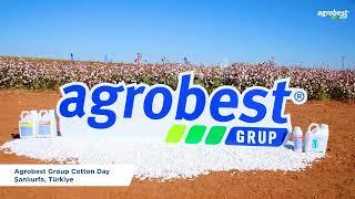 Agrobest grup