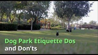 Dog Park Etiquette – The Dos and Don’ts of Park Adventures