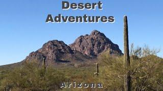 Desert Adventures in Arizona