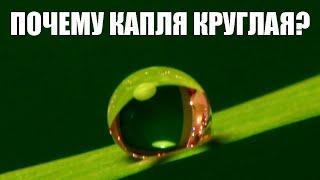 Почему капля круглая?