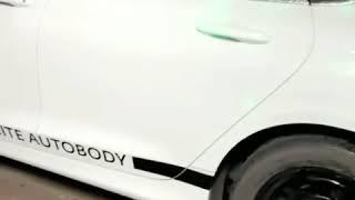 Black & white auto body