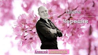  Алексей Романюта - Цвела Черешня  ПРЕМЬЕРА 2024