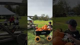 I actually had fun at the Pumpkin Patch today! #Pumpkin #PumpkinPatch #Trebuchet #fyp #simmonsfarm