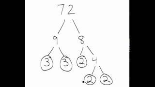 4th Grade - Factor Trees Video Lesson