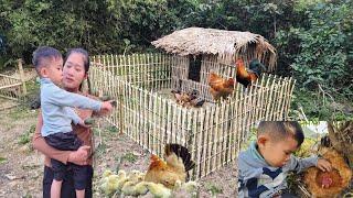 Single mother makes bamboo chicken coop and takes care of her young child - Single mother life.