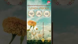 Charcoal-Free Genda Phool Agarbatti | Long-Lasting Divine Fragrance by Yog Mantra 🪔