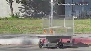 Goldfish trained to drive 'fish-operated' vehicle