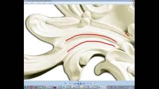 Моделирование классических орнаментов в 3ds max