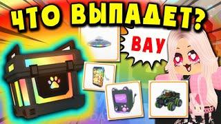 ЧТО ВЫПАДАЕТ ИЗ RGB КОРОБОК в Адопмт ми? WHAT falls OUT OF THE RGB BOXES IN the Adapter?