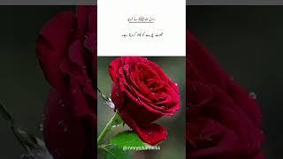 Hadees Mubarak!!|Rasool SAW NY farmaya:Jooth chahry ko kala kr data ha!|Lying Darkens the Face