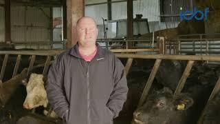 Tipperary beef farmer buying better calves with the help of the CBV