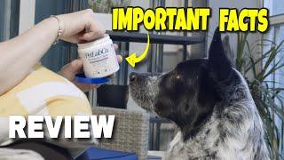 PetLab Co. Probiotics for Dogs Review