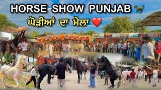 Horse Show Punjab  || ਘੋੜੀਆਂ ਦਾ ਮੇਲਾ || ਦੇਖੋ Adam Ghode Da Last Putt @Davinder.nirman #punjab