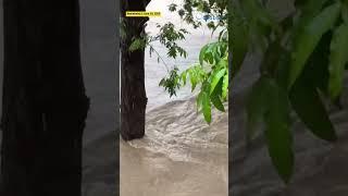 River overflows in southern China amid extreme rainfall, flash flooding | #shorts