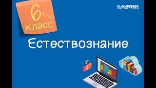 Естествознание. 6 класс. Продукты выделения организмов. Раздражители живых организмов /05.02.2021/