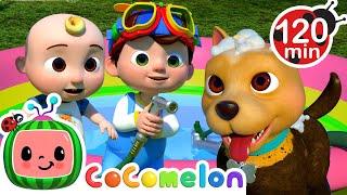 Wash the Doggie! Bingo's Bath Song!  | CoComelon Nursery Rhymes + Kids Songs | Animals for Kids