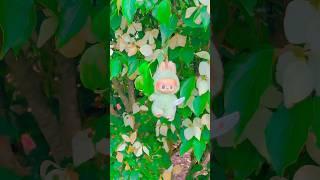 WHO DID THIS WITH MY LABUBU?!  #funny #labubu #trend #toys #omg #silly #fluffy #cute