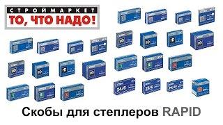 Скобы для степлеров RAPID - купить скобы для степлера RAPID, купить степлер RAPID