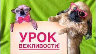 Мокрые Носики. Урок вежливости. Как себя вести / как быть вежливым?