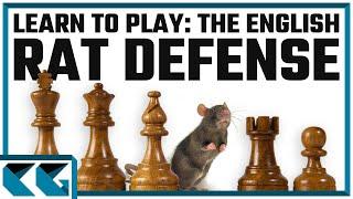 Chess Openings: Learn to Play the English Rat Defense!