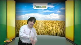 Farms.com Market School: Currencies and the Grain Markets  FarmsTV