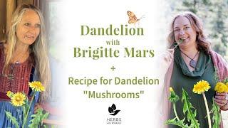 Dandelion with Brigitte Mars + Dandelion Mushrooms recipe