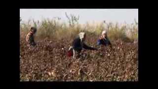 Uzbekistan, The Royal  Road ( bukhara to Navoy )  by cycling