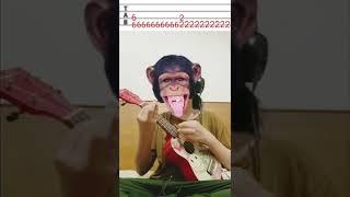 Dance monkey - easy ukulele