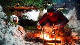 Solo Winter Survival in Primitive Shelter - no tent, no sleeping bag